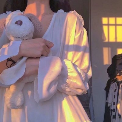 万紫千红花弄蝶海报